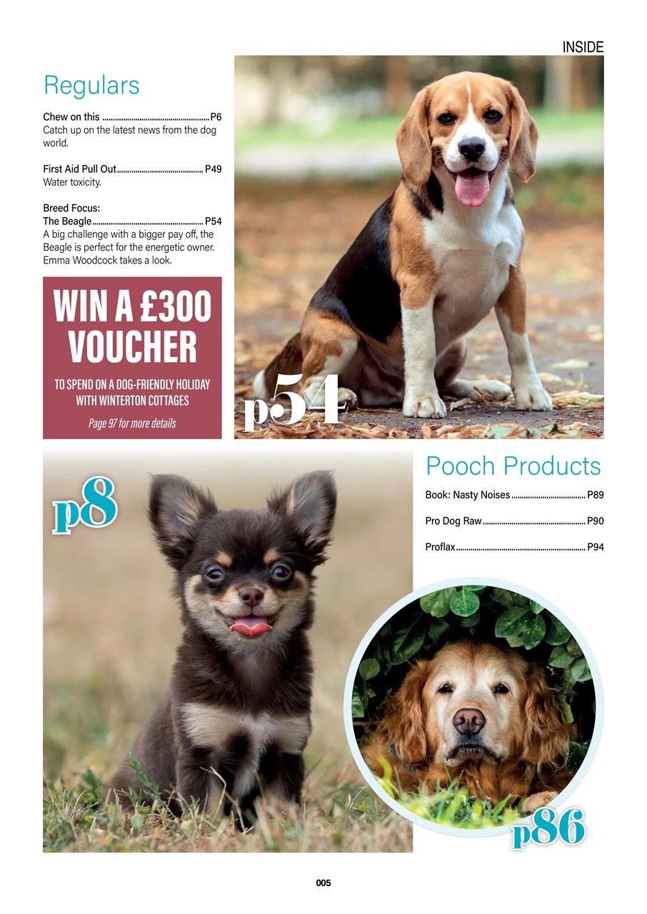 Edition Dog Preview Pages
