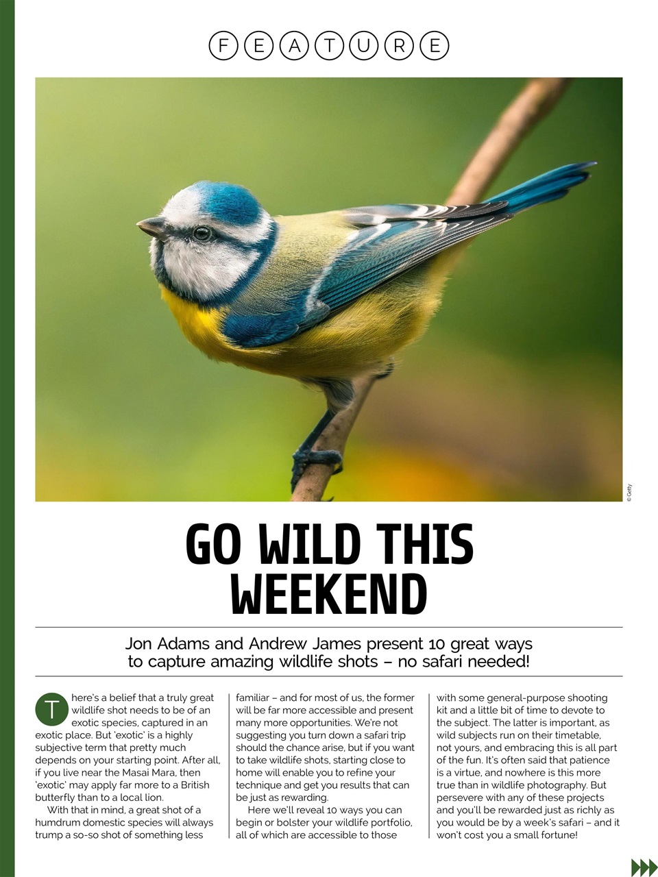 Photography Week Preview Pages