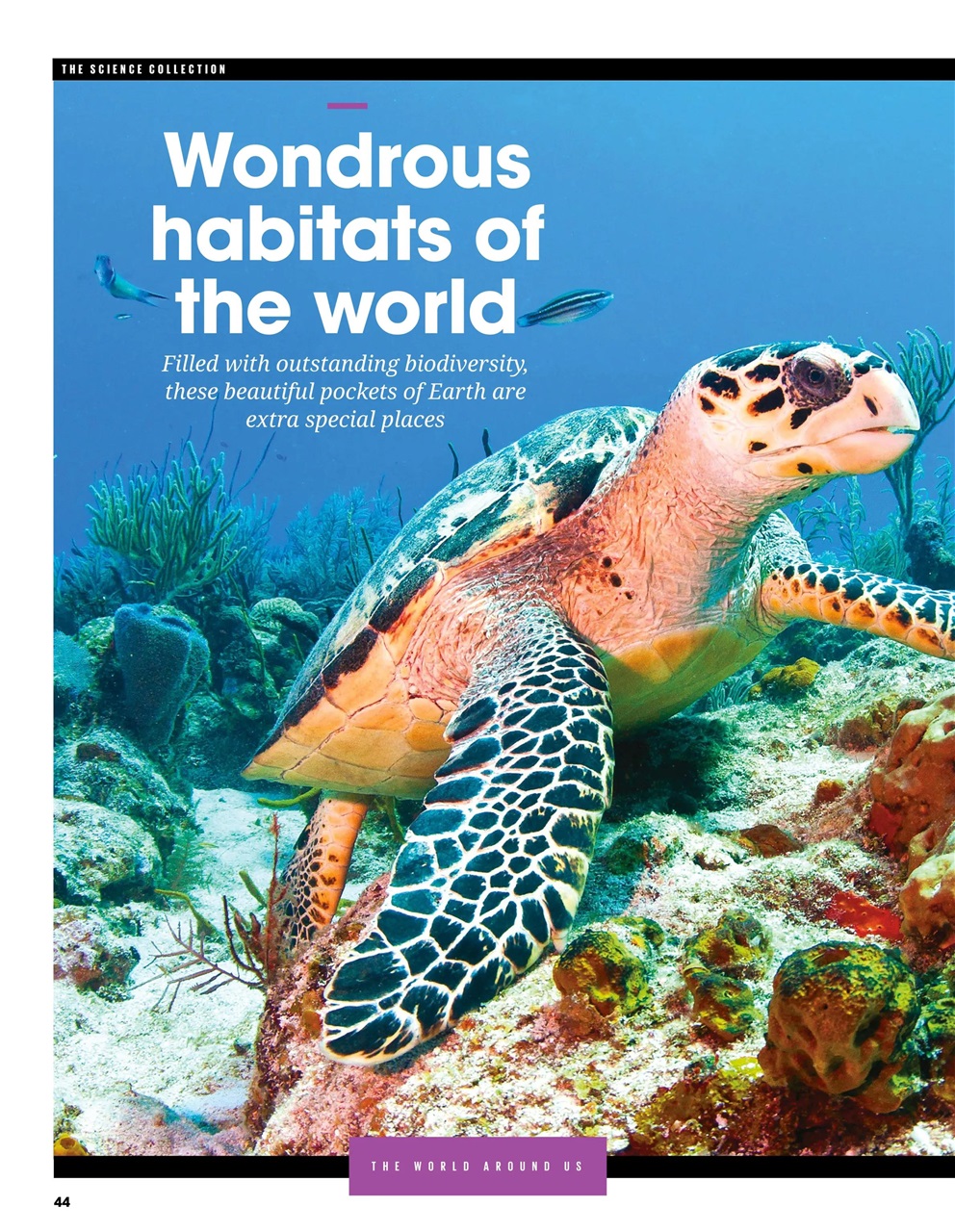 How It Works Bookazine Preview Pages