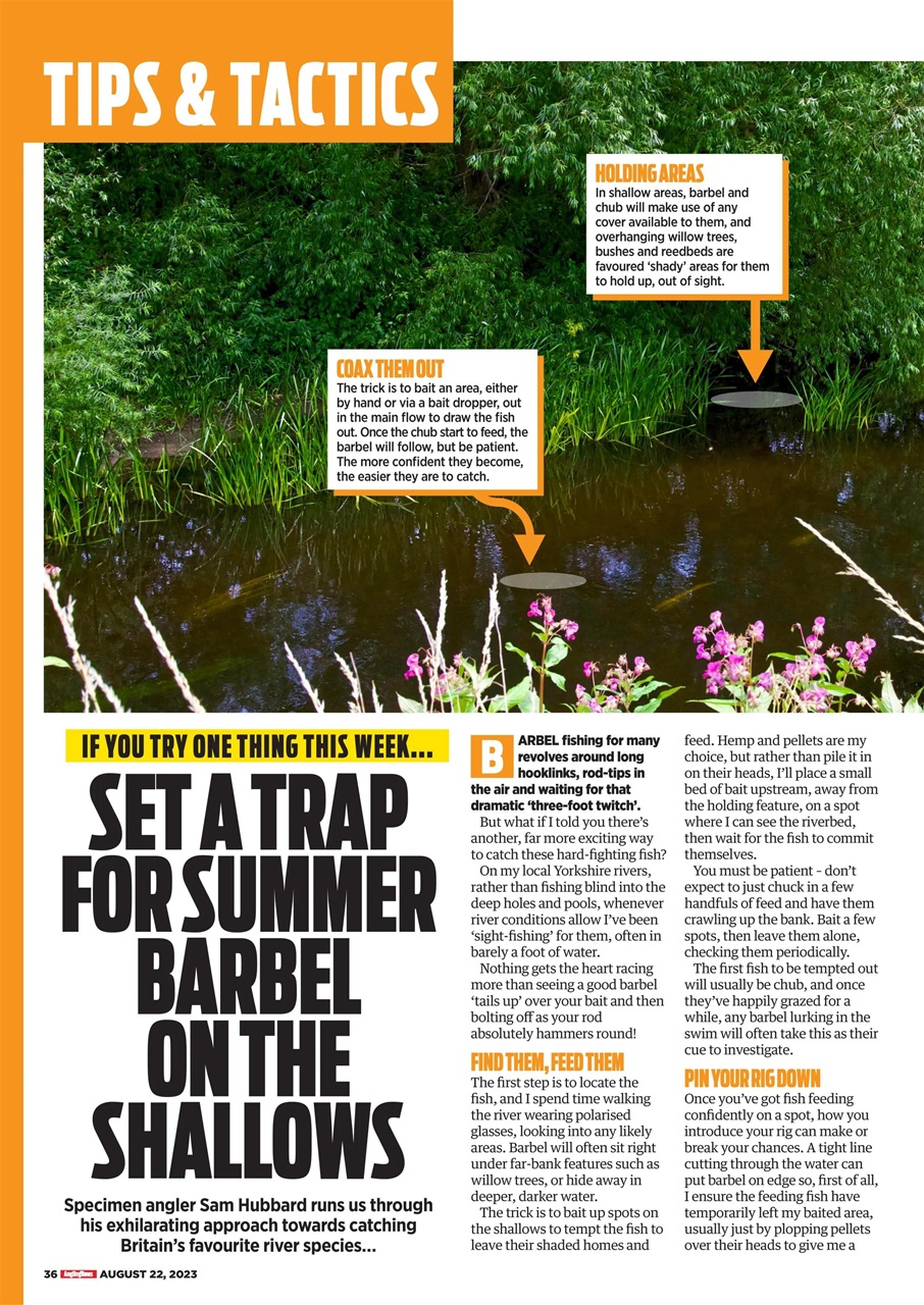 Angling Times Preview Pages