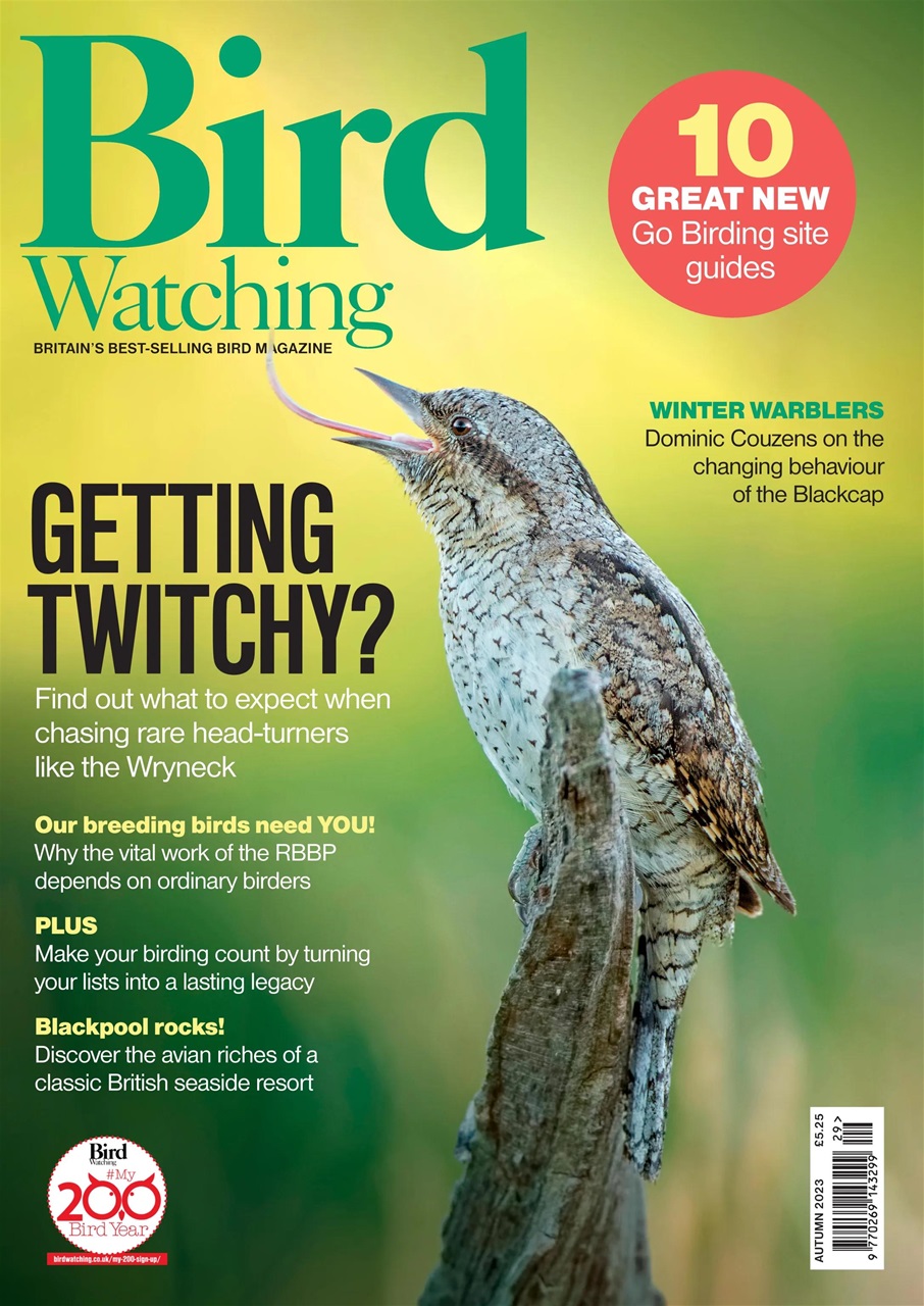 Bird Watching Preview Pages