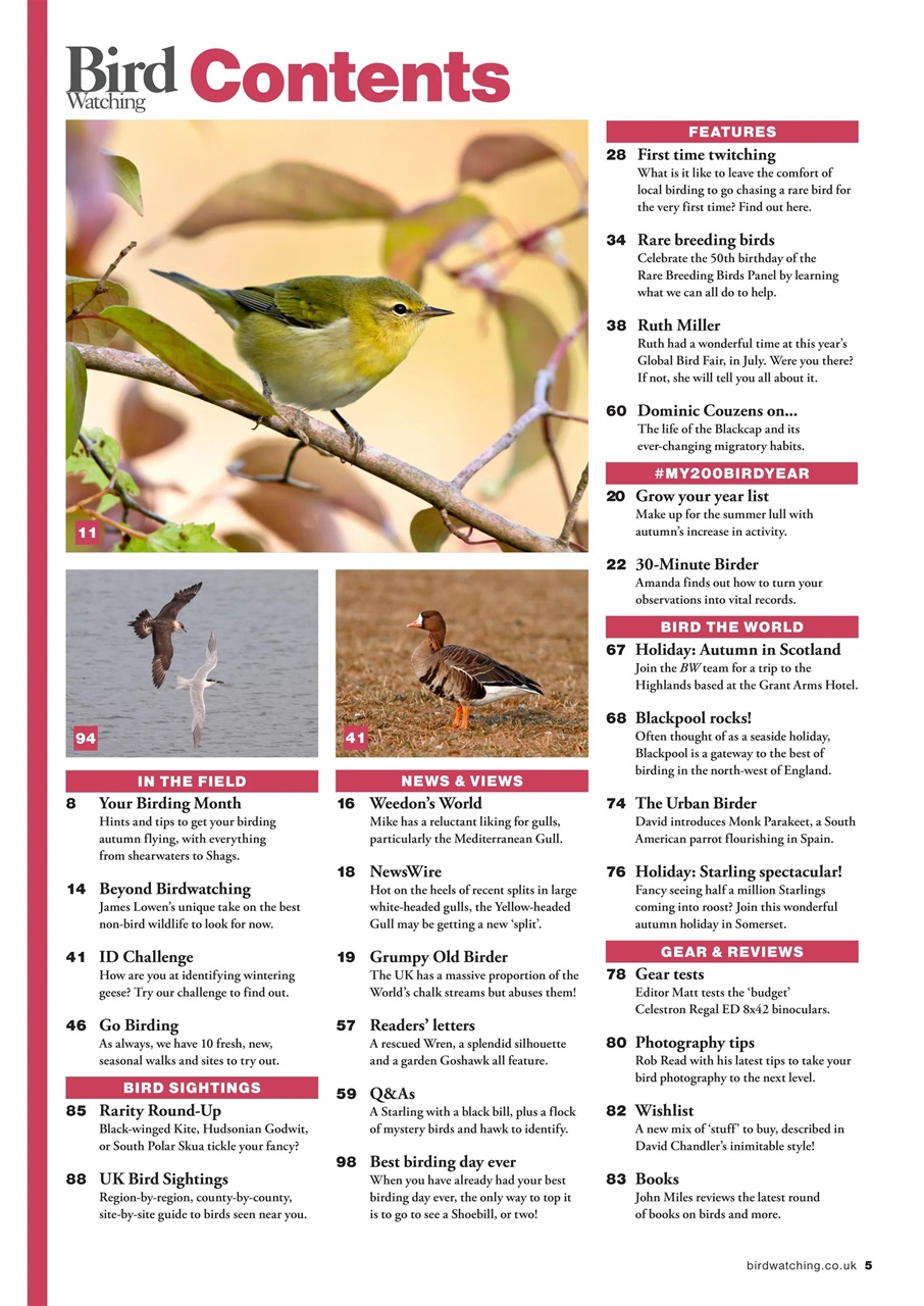 Bird Watching Preview Pages