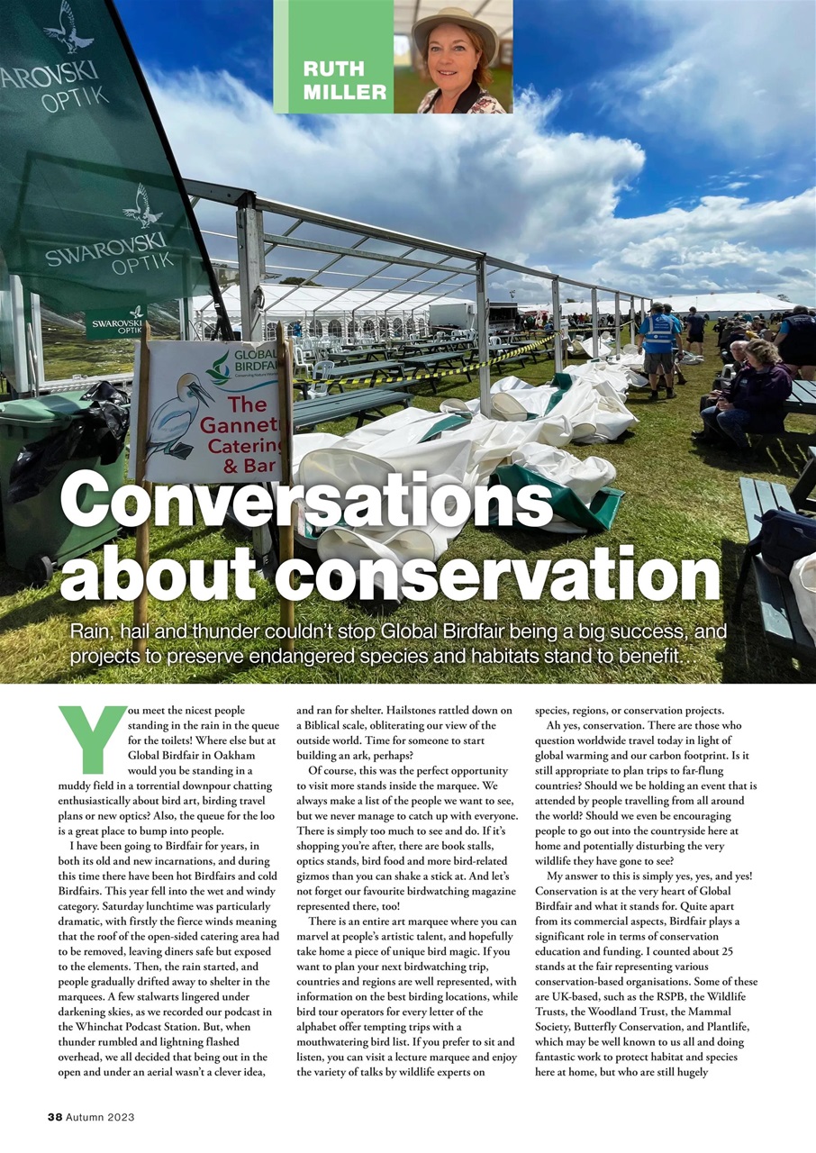 Bird Watching Preview Pages