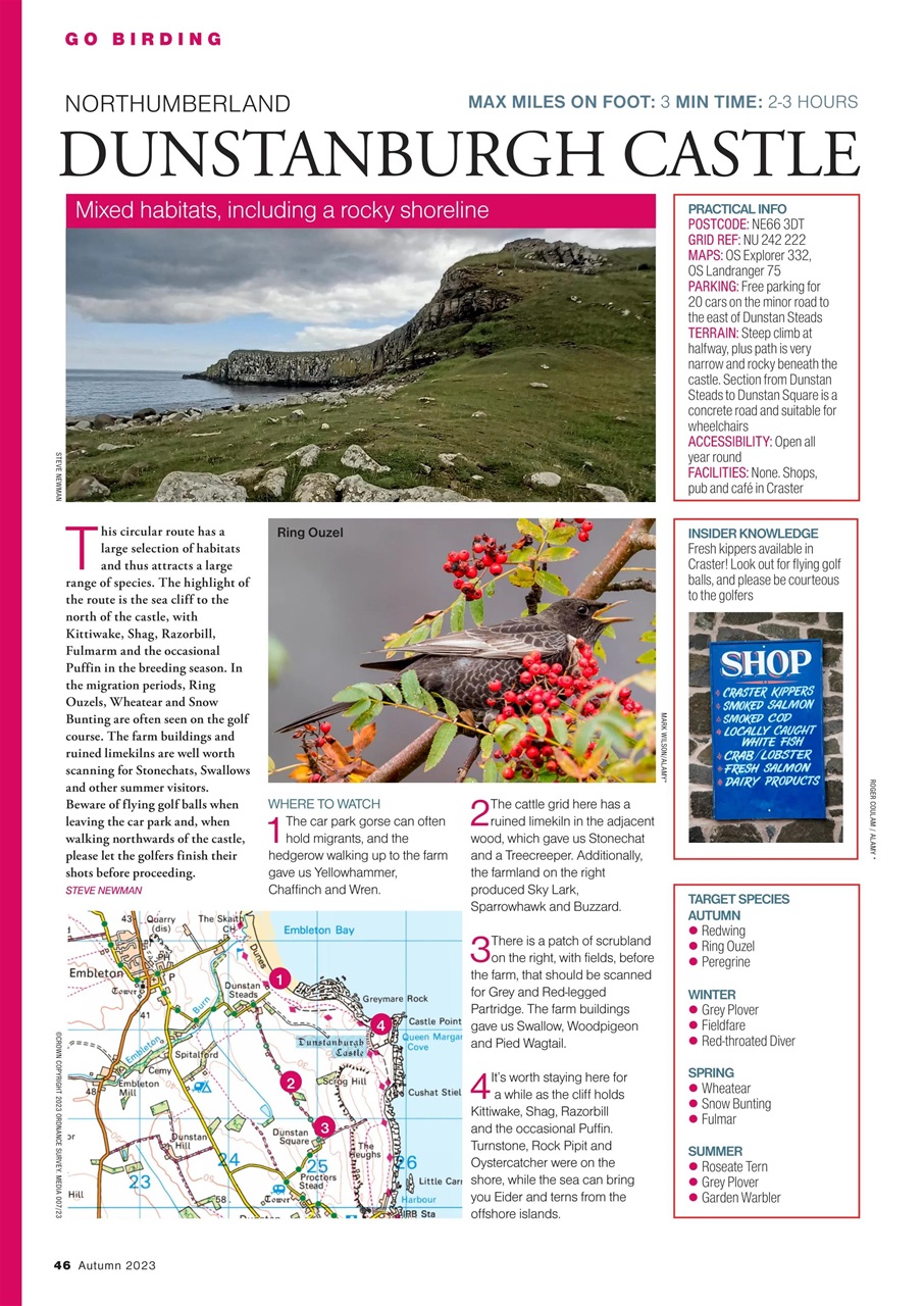 Bird Watching Preview Pages