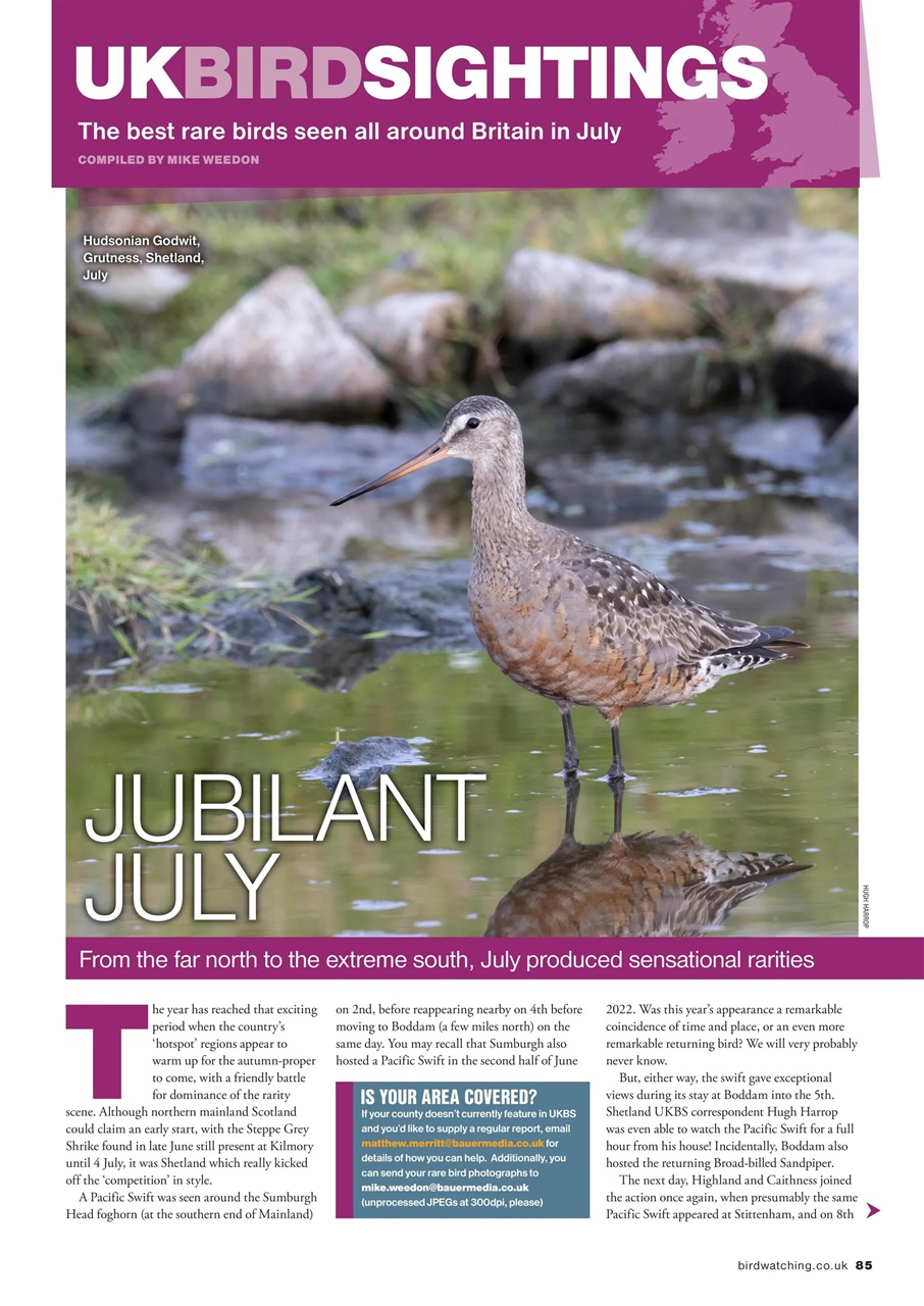 Bird Watching Preview Pages