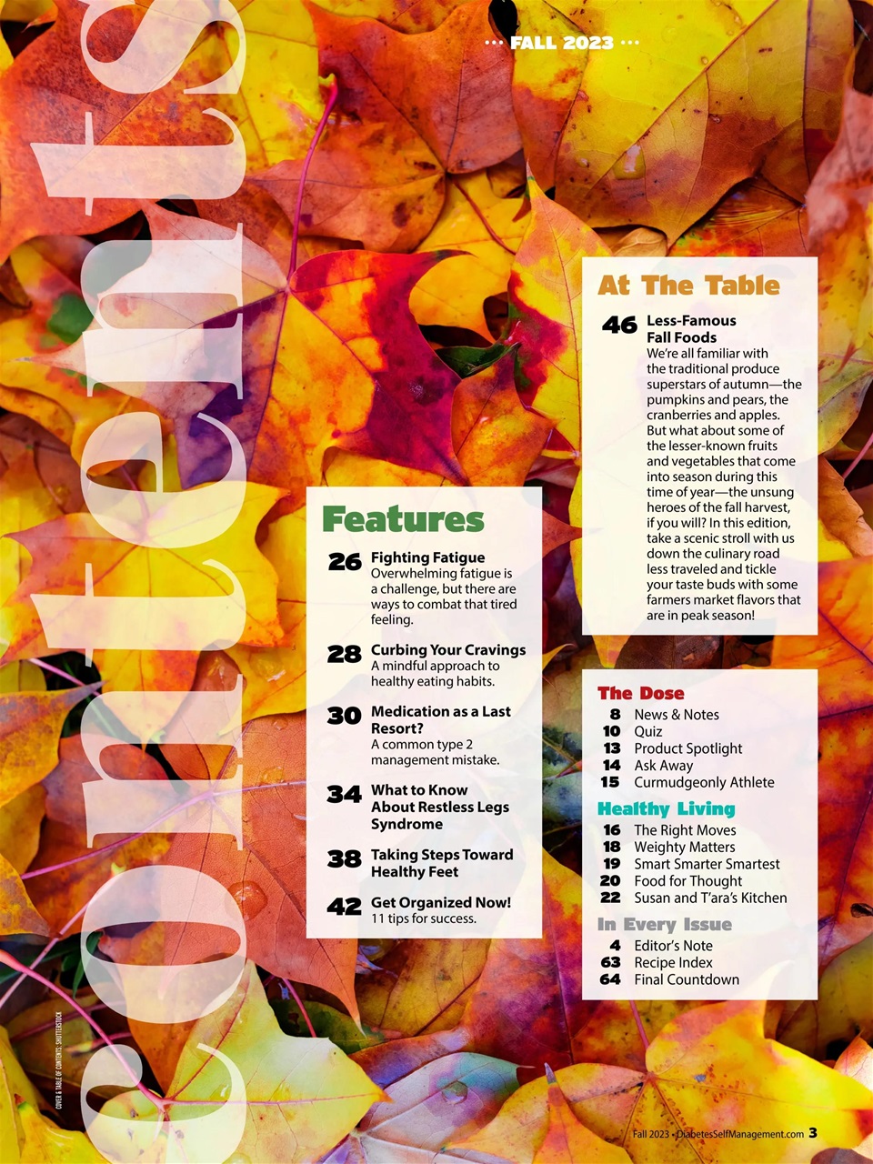 Diabetes Self-Management Preview Pages