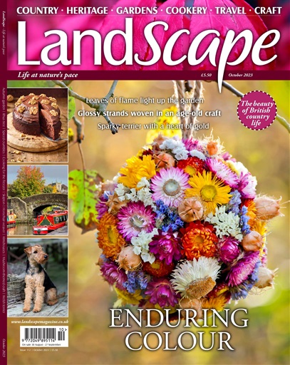 LandScape issue 