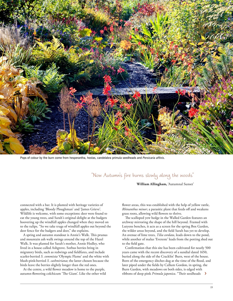 LandScape Preview Pages