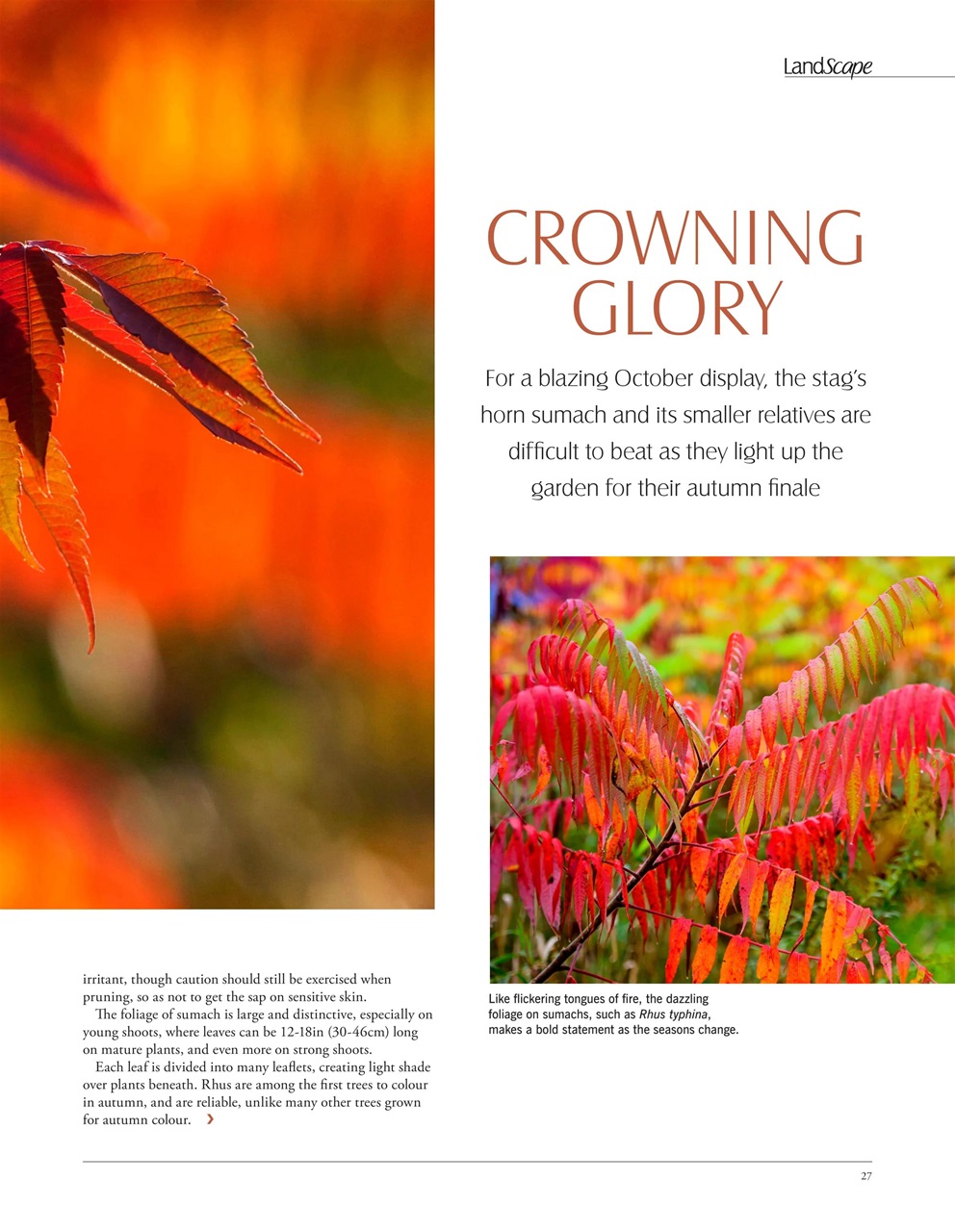 LandScape Preview Pages