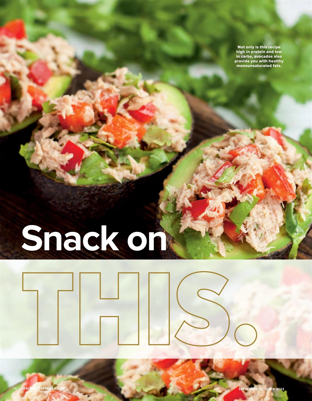 Strong Fitness Preview Pages