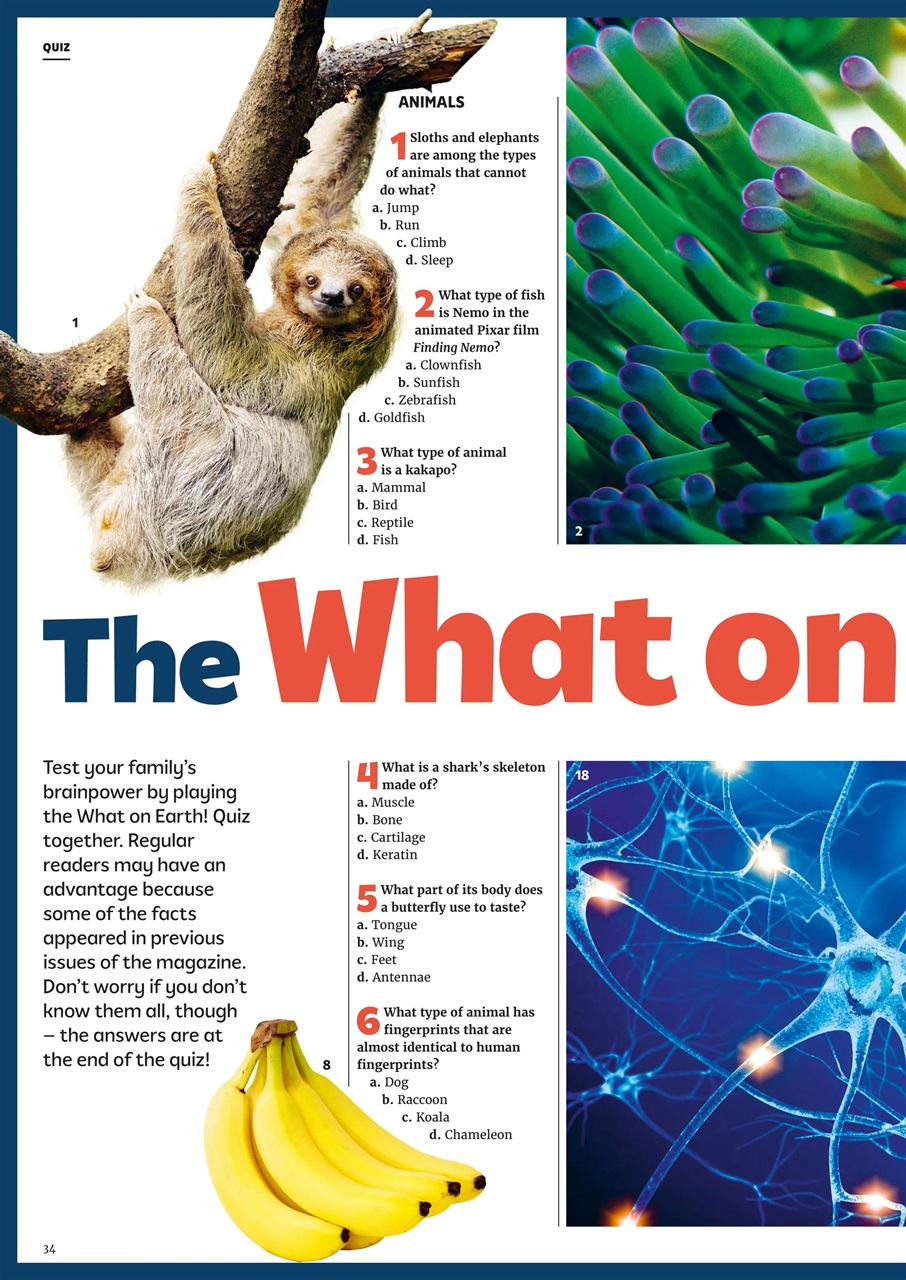 What on Earth! Magazine Preview Pages
