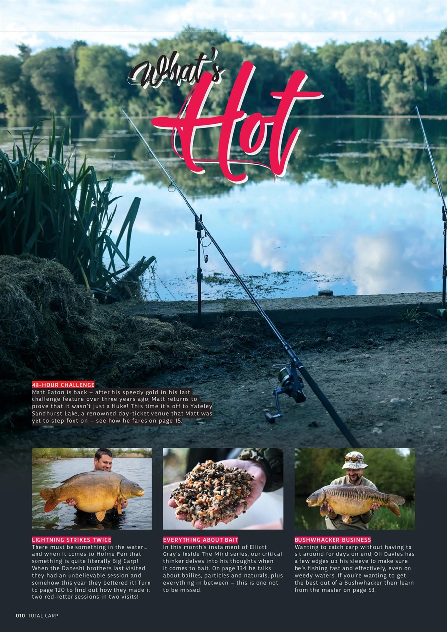 Total Carp Preview Pages