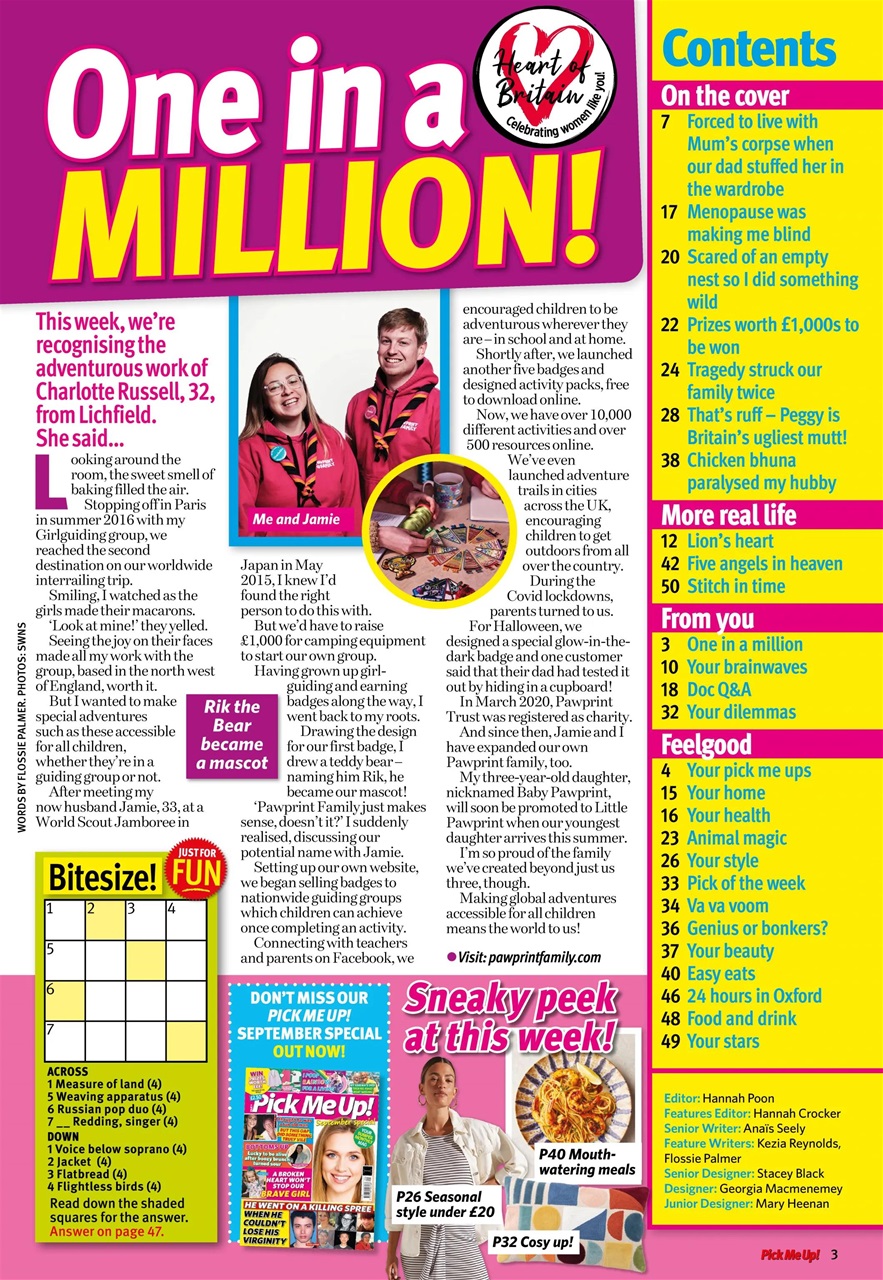 Pick Me Up Preview Pages