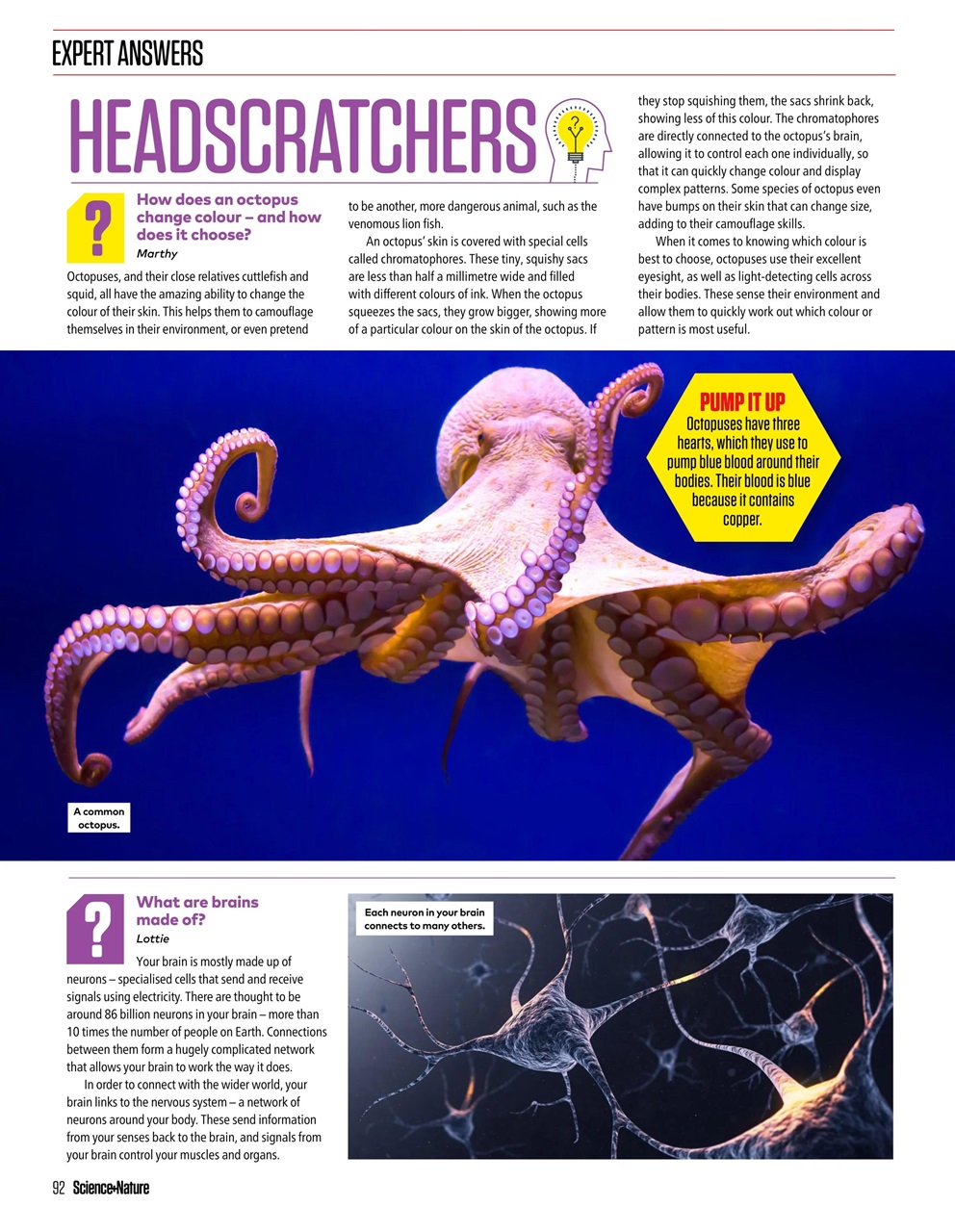 The Week Junior Bookazine Preview Pages