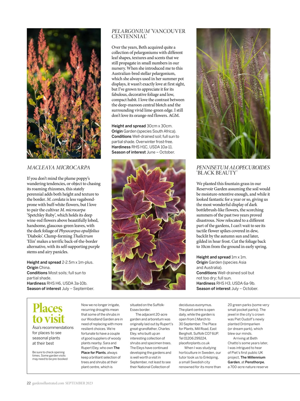 Gardens Illustrated Preview Pages