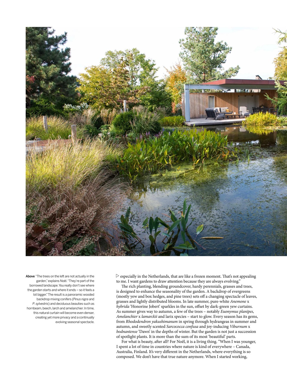Gardens Illustrated Preview Pages