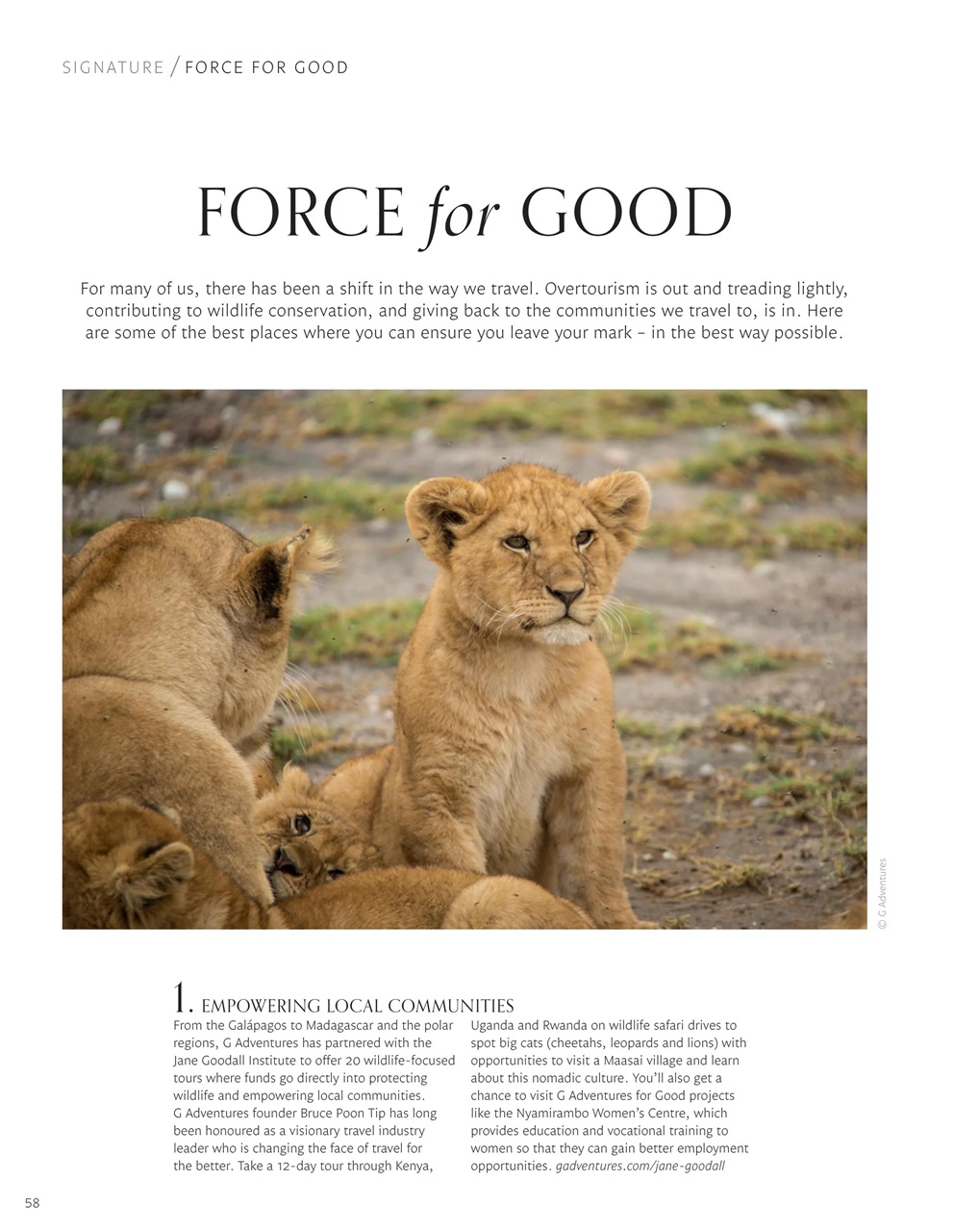 Signature Luxury Travel & Style Preview Pages