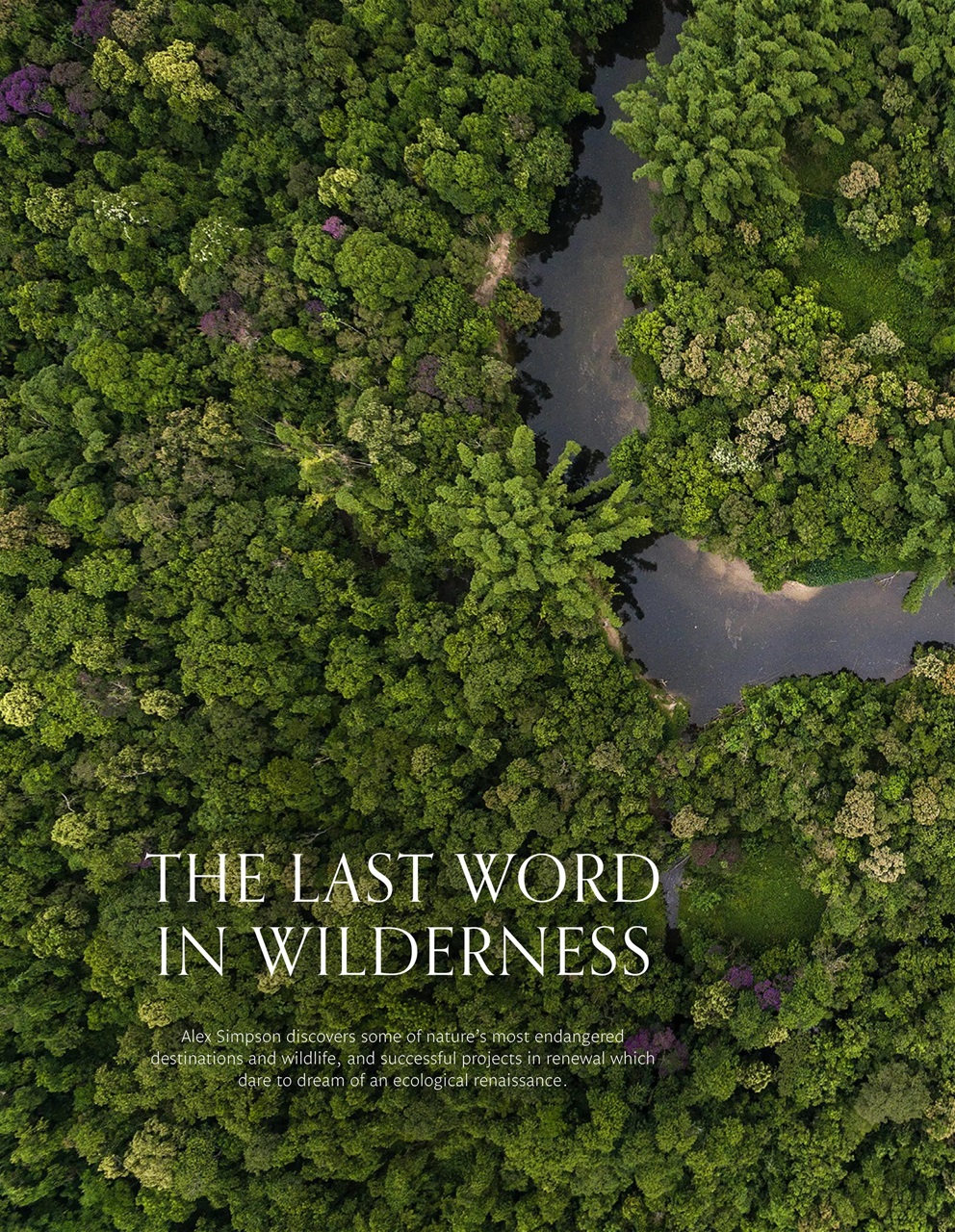 Signature Luxury Travel & Style Preview Pages