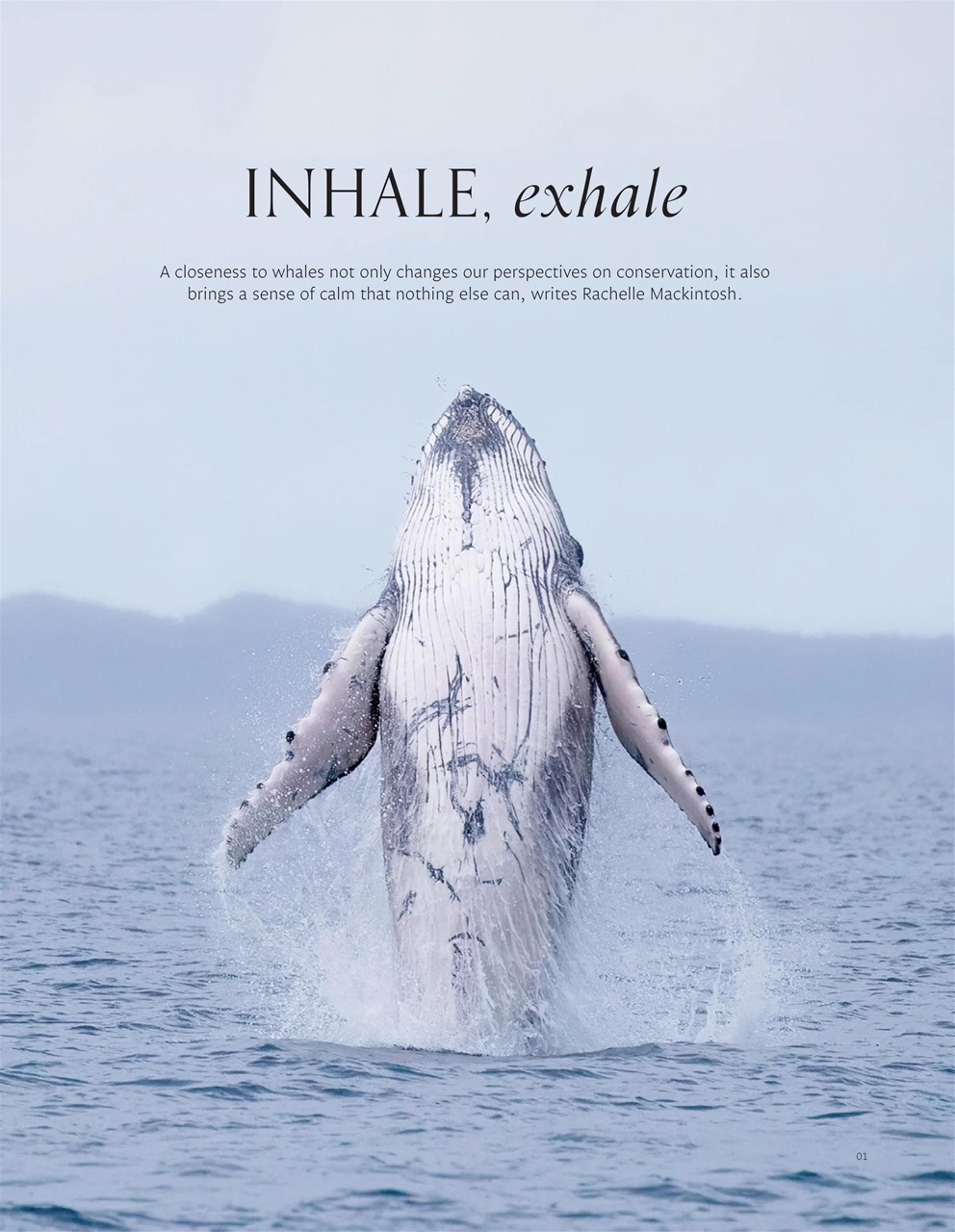 Signature Luxury Travel & Style Preview Pages