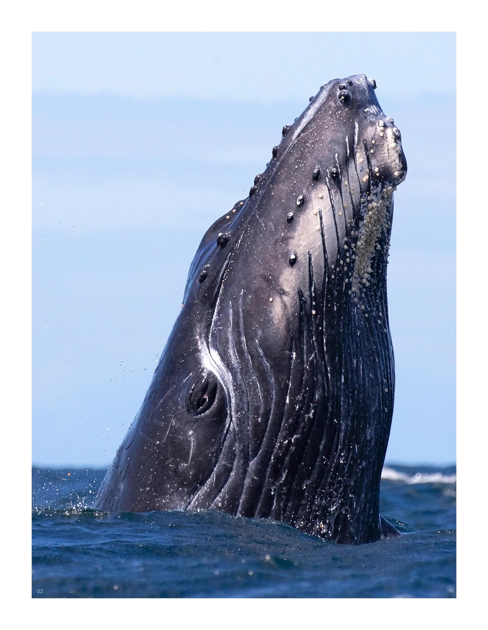 Signature Luxury Travel & Style Preview Pages