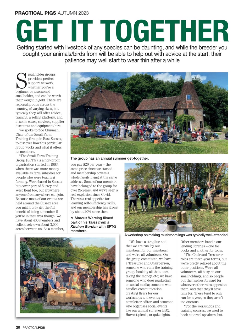 Practical Pigs Preview Pages