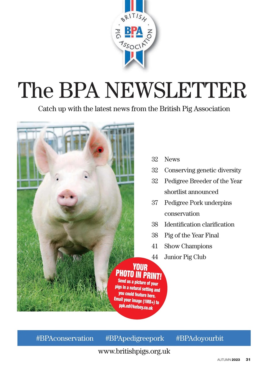 Practical Pigs Preview Pages