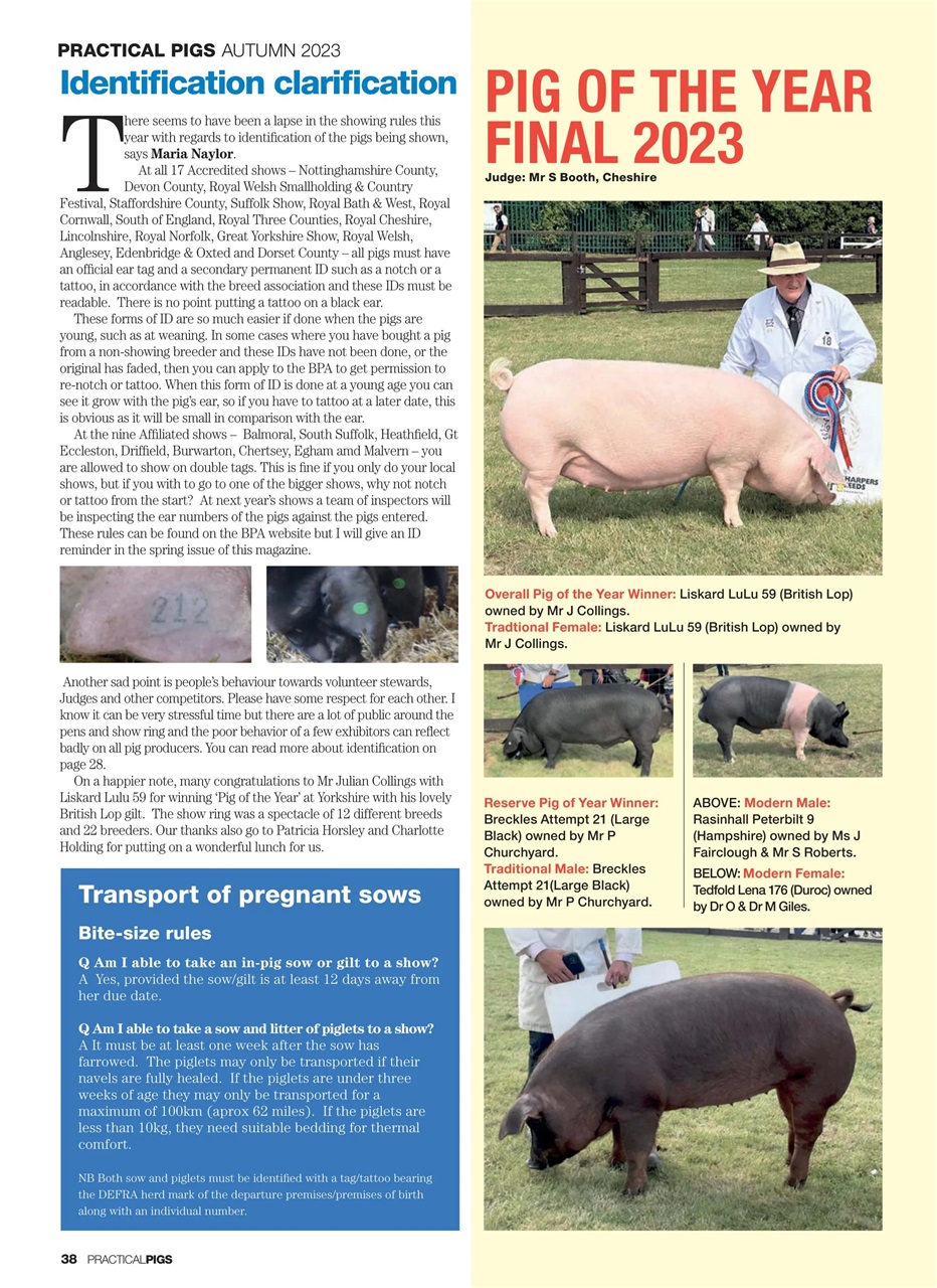 Practical Pigs Preview Pages