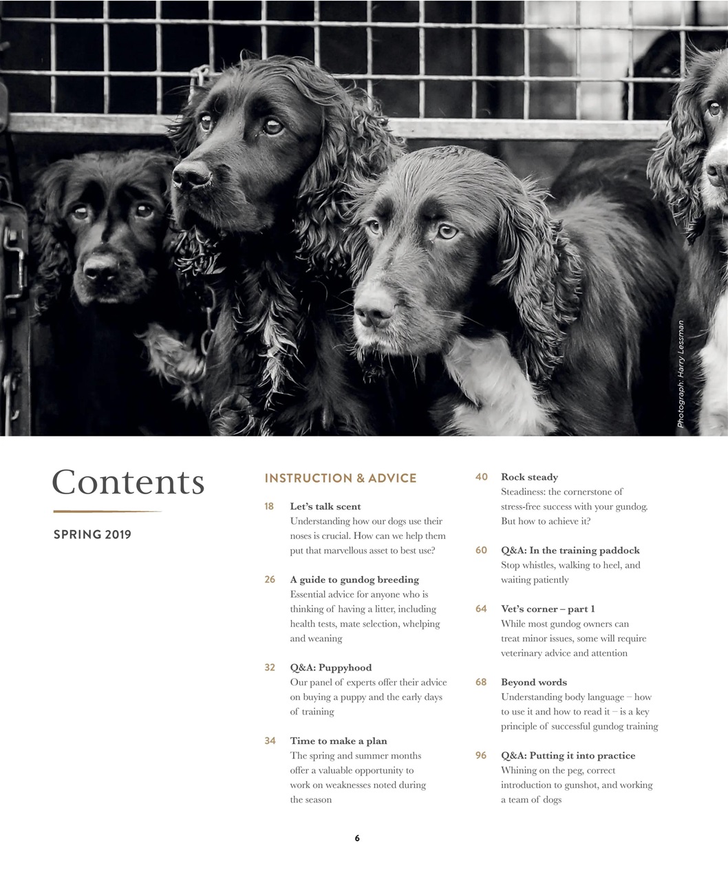Gundog Journal Preview Pages