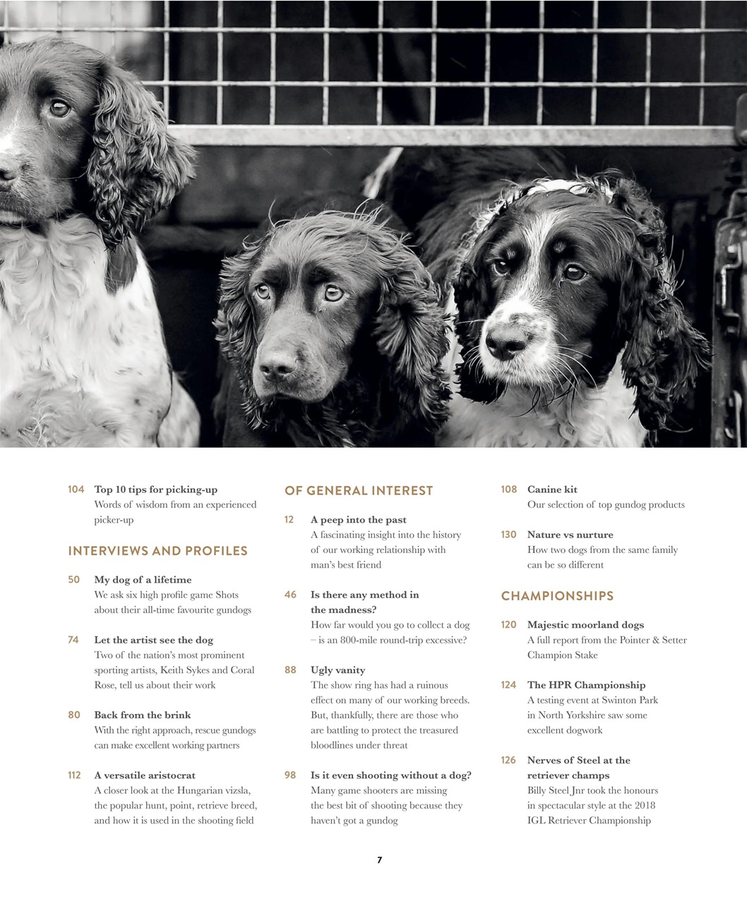 Gundog Journal Preview Pages