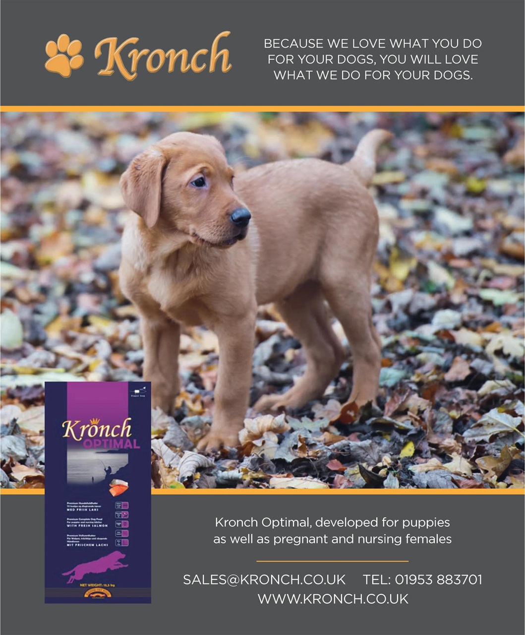 Gundog Journal Preview Pages