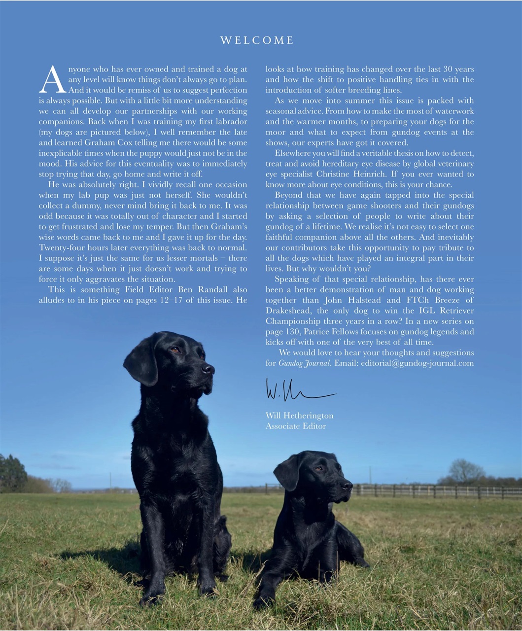 Gundog Journal Preview Pages