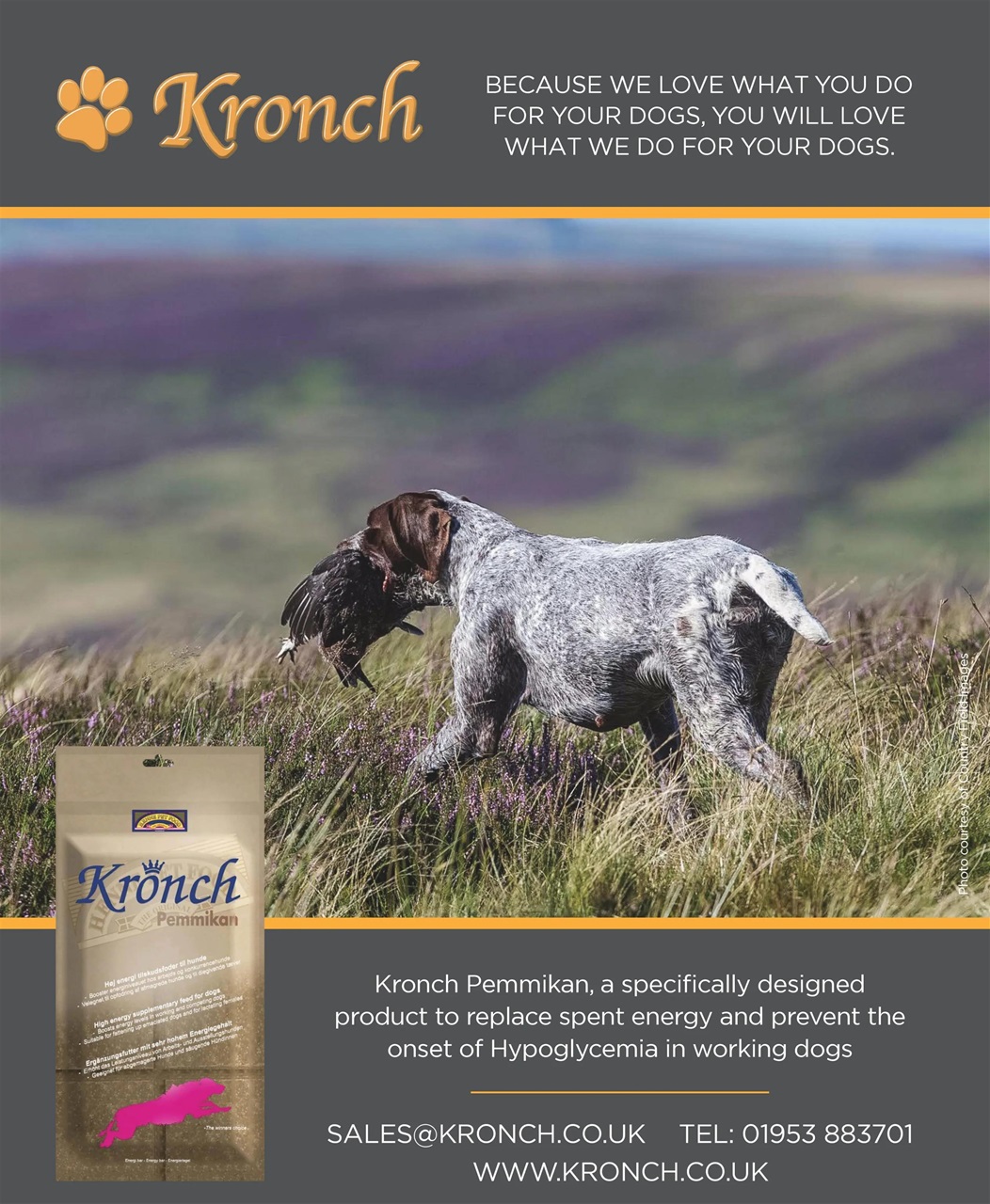 Gundog Journal Preview Pages