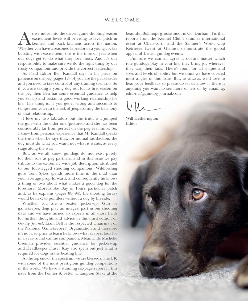 Gundog Journal Preview Pages