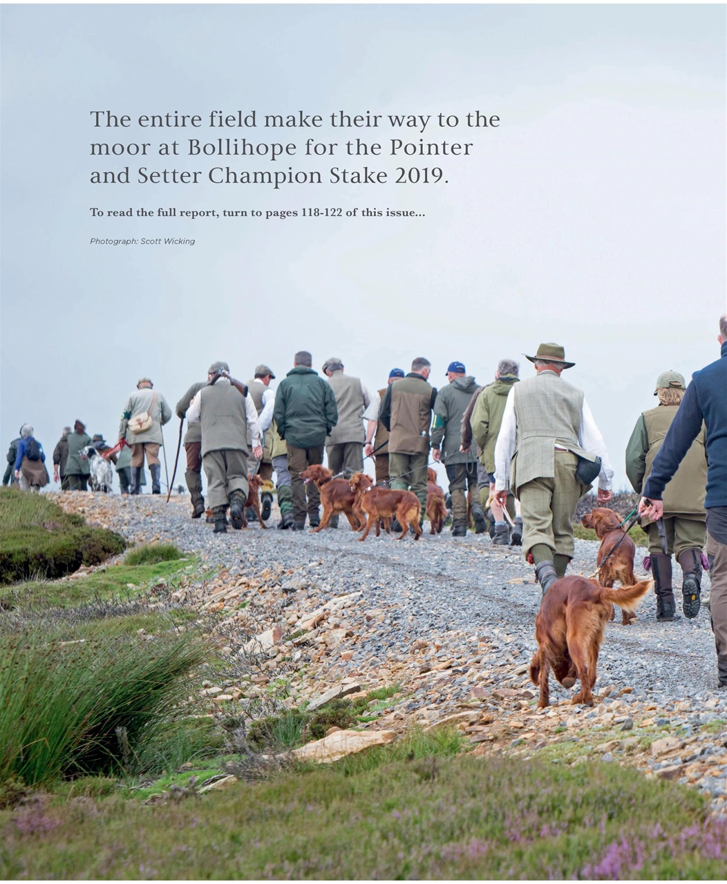 Gundog Journal Preview Pages