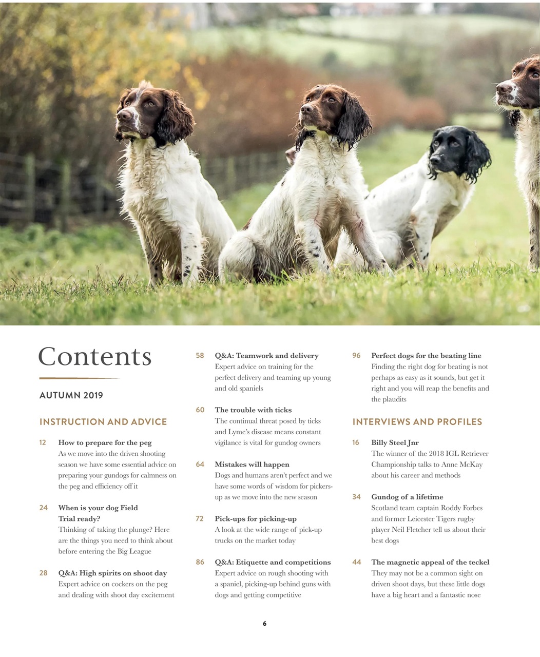 Gundog Journal Preview Pages