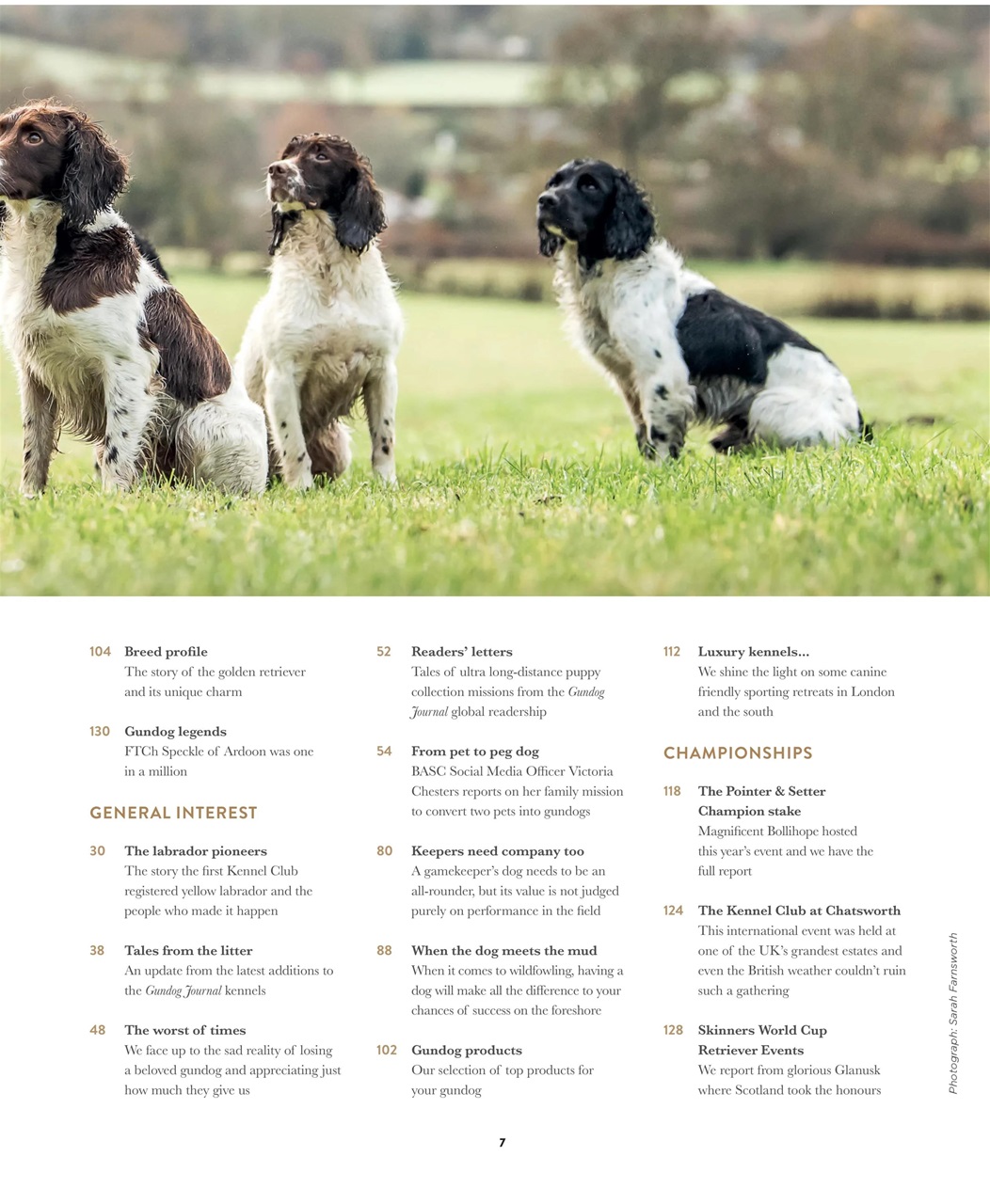 Gundog Journal Preview Pages