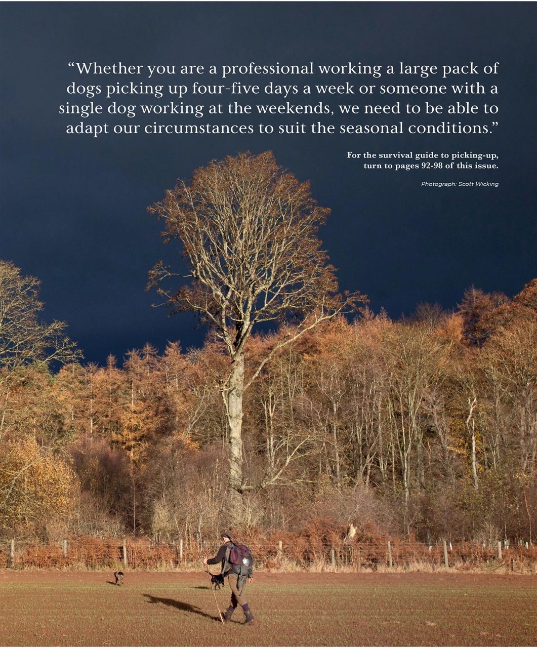 Gundog Journal Preview Pages