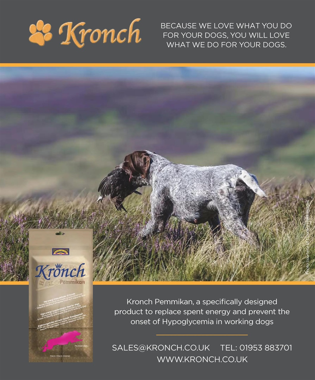 Gundog Journal Preview Pages