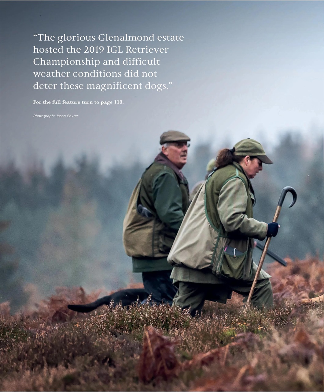 Gundog Journal Preview Pages