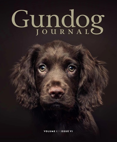 Gundog Journal issue Volume I Issue VI