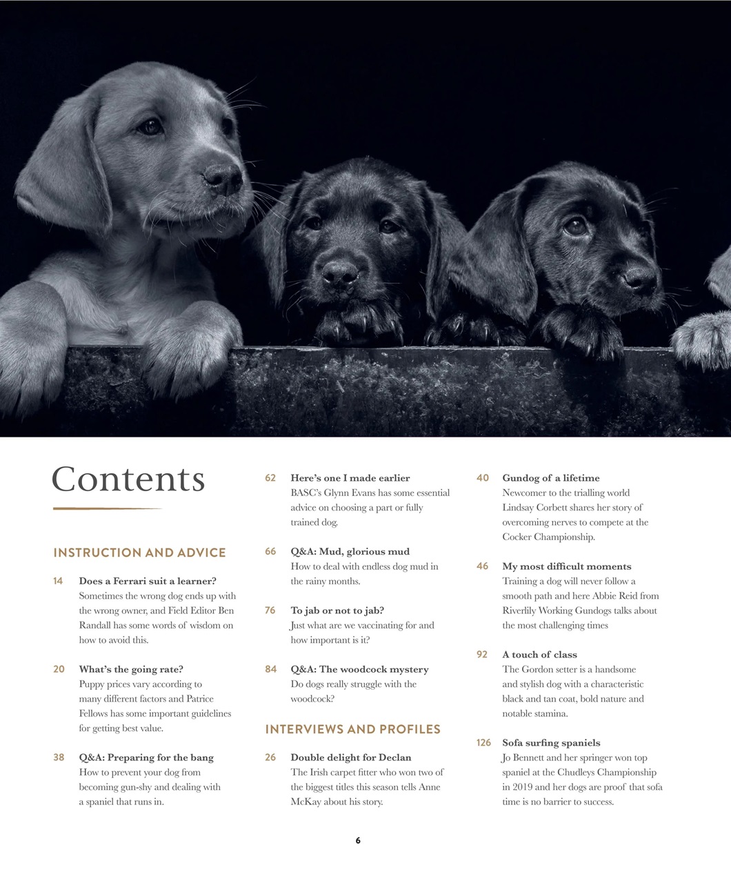 Gundog Journal Preview Pages