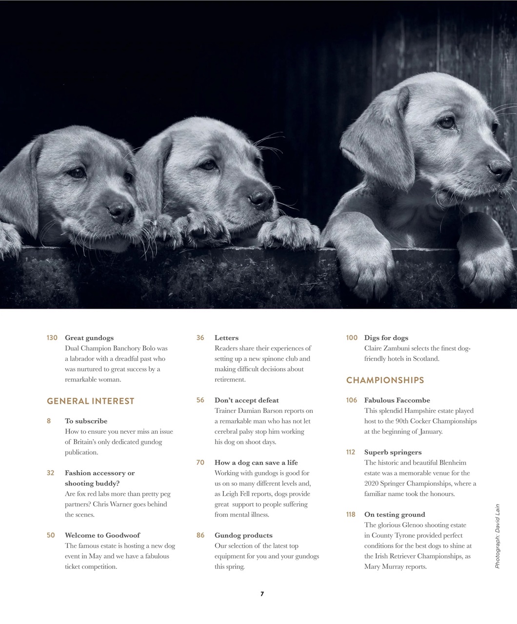 Gundog Journal Preview Pages