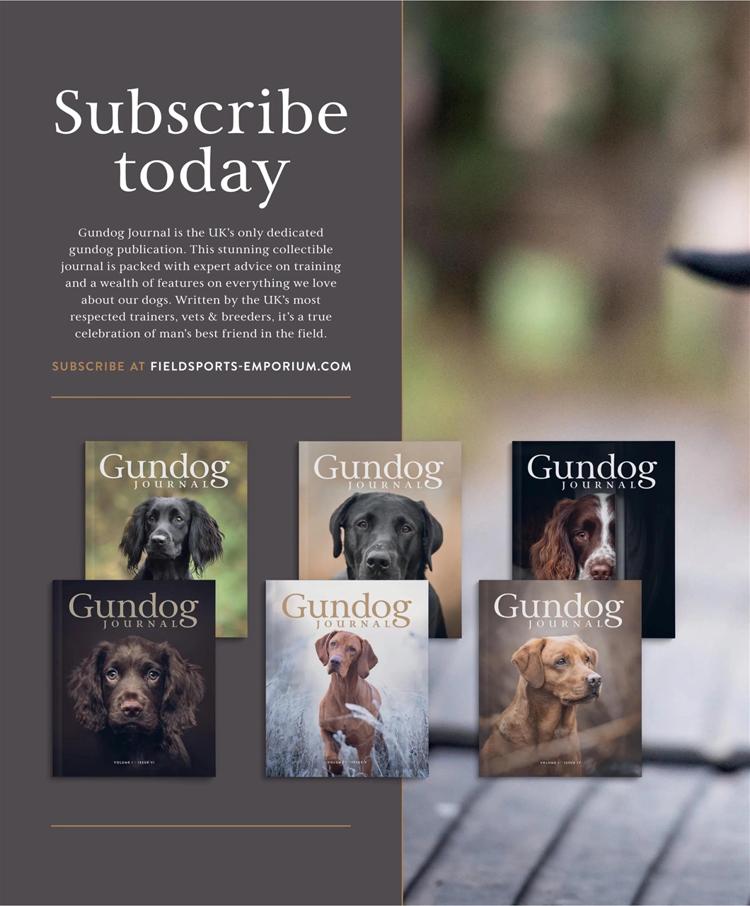 Gundog Journal Preview Pages