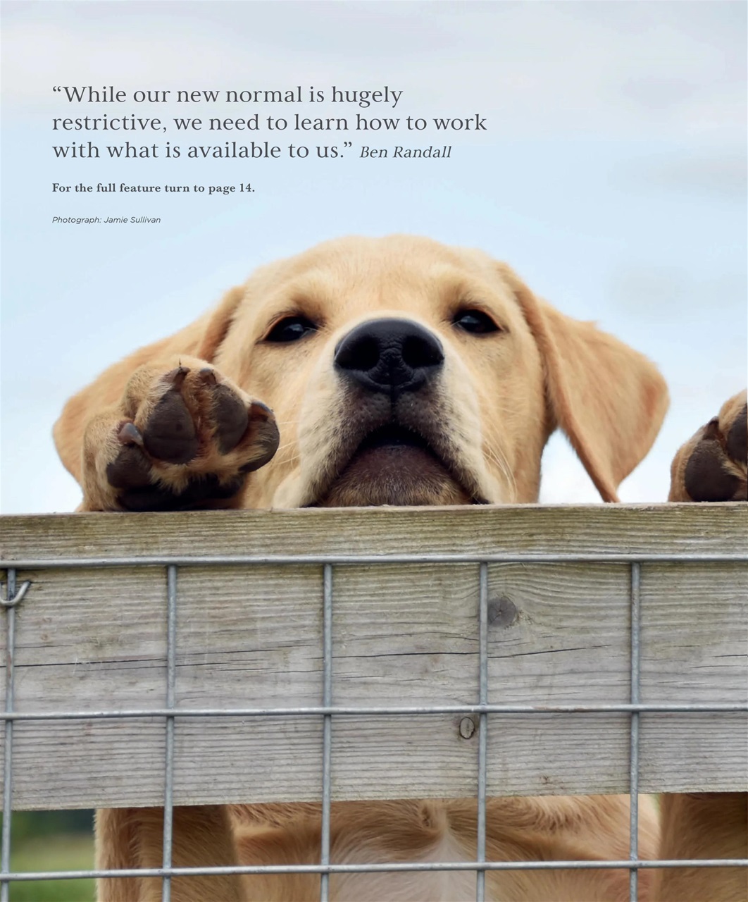 Gundog Journal Preview Pages