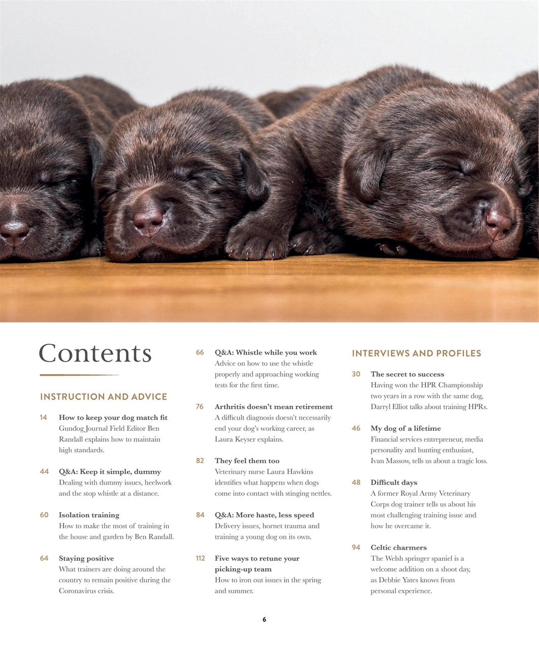 Gundog Journal Preview Pages