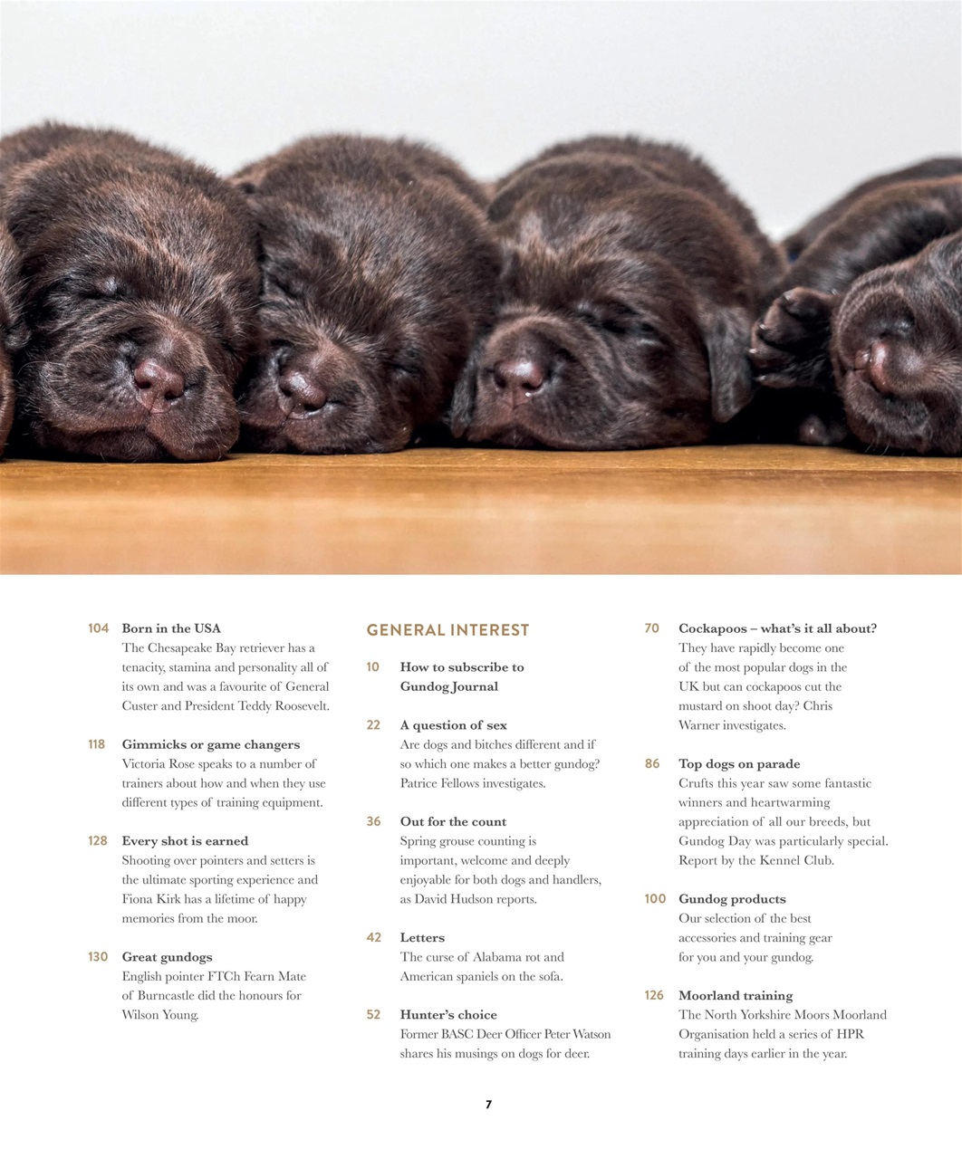 Gundog Journal Preview Pages