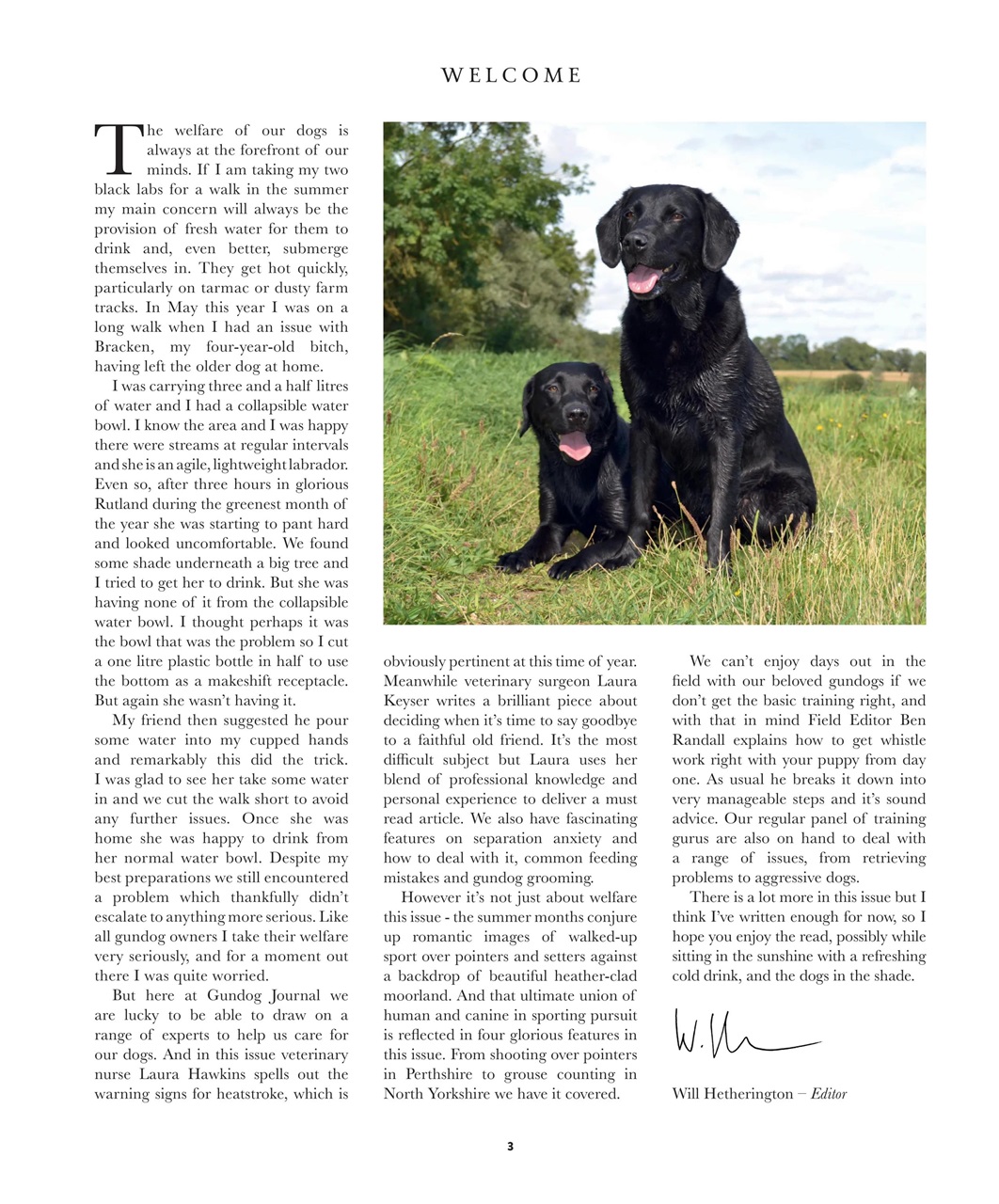 Gundog Journal Preview Pages