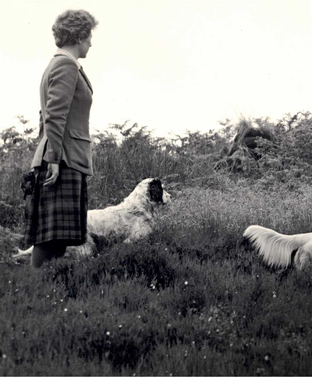 Gundog Journal Preview Pages