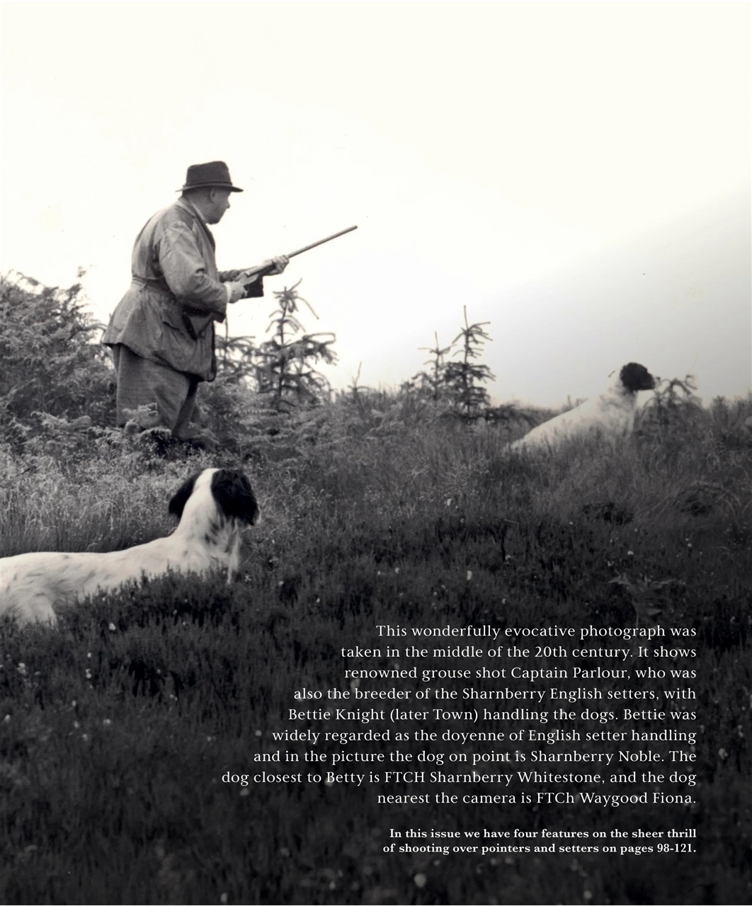 Gundog Journal Preview Pages