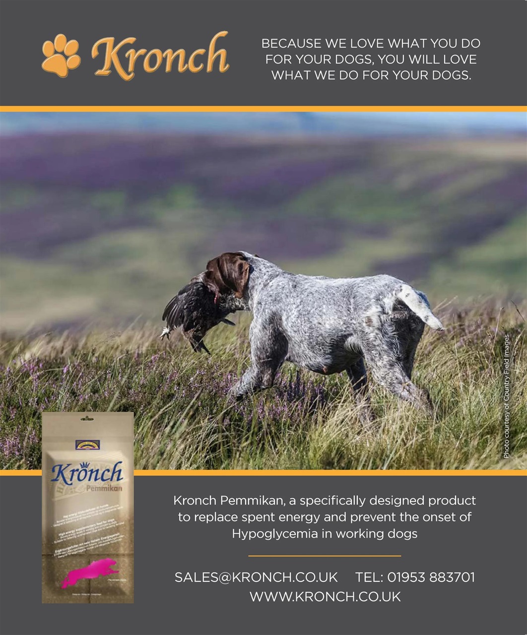 Gundog Journal Preview Pages